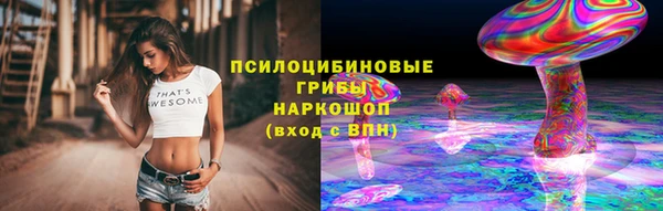 шишки Бердск