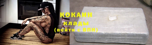альфа пвп Медвежьегорск