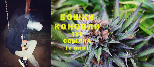 альфа пвп Медвежьегорск