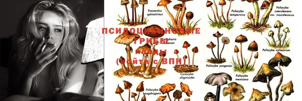 прущая мука Ачинск