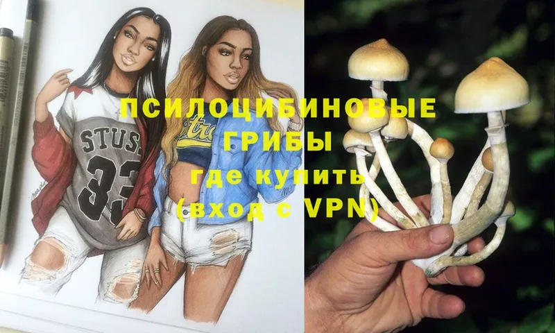 как найти закладки  OMG ONION  Галлюциногенные грибы Psilocybe  Новоалтайск 