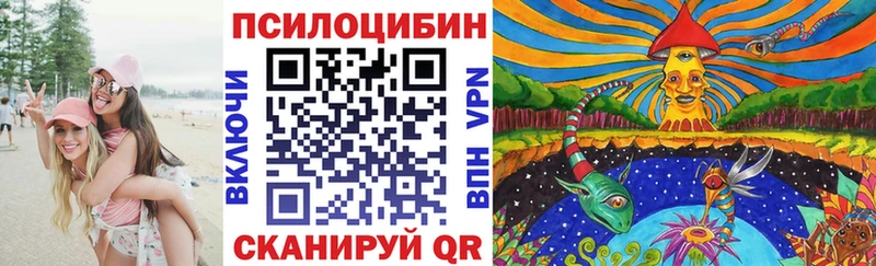 Псилоцибиновые грибы ЛСД  omg   Новоалтайск 
