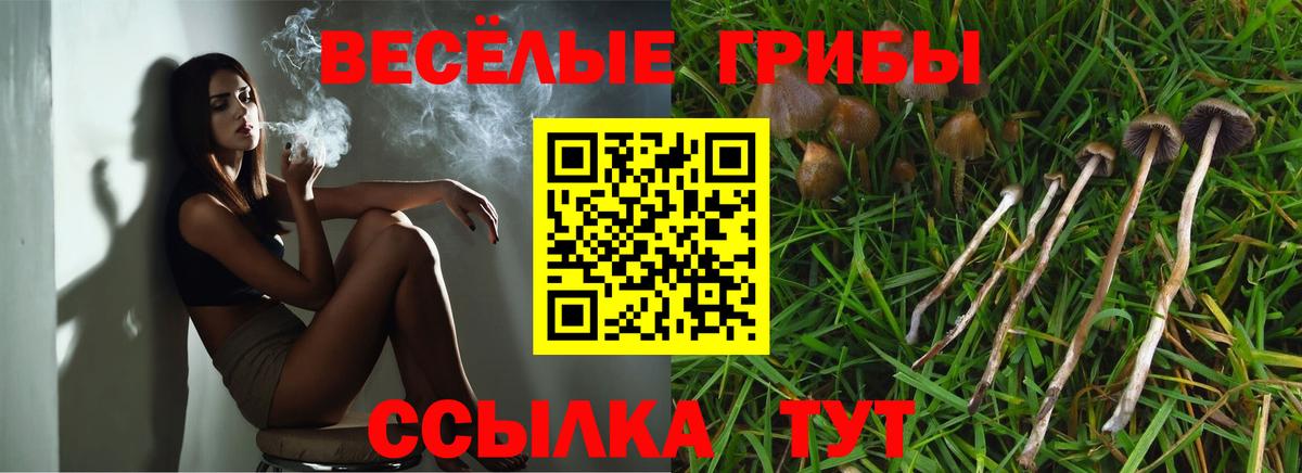 Псилоцибиновые грибы Cubensis  Вход с VPN  Новоалтайск 