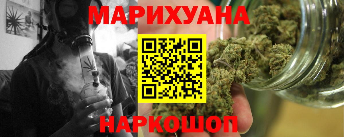 Конопля гибрид Новоалтайск